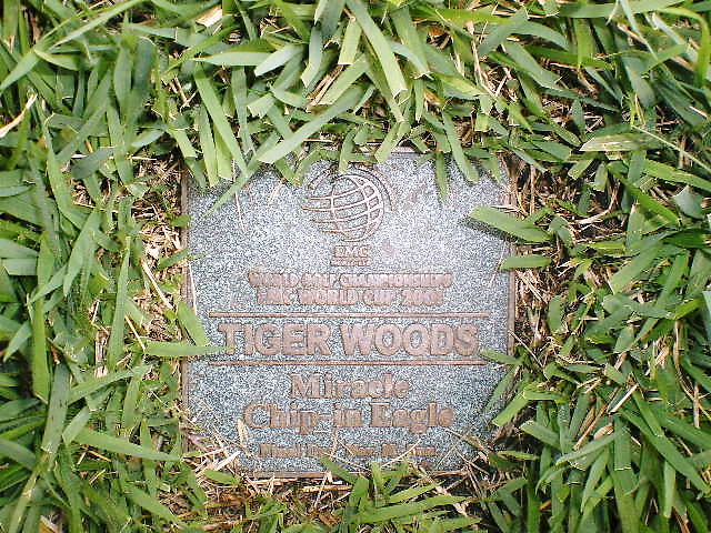 f0085810_14342817.jpg