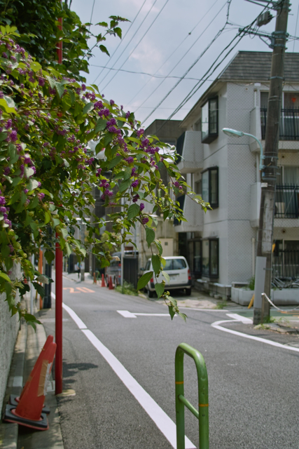 b0137311_23405369.jpg