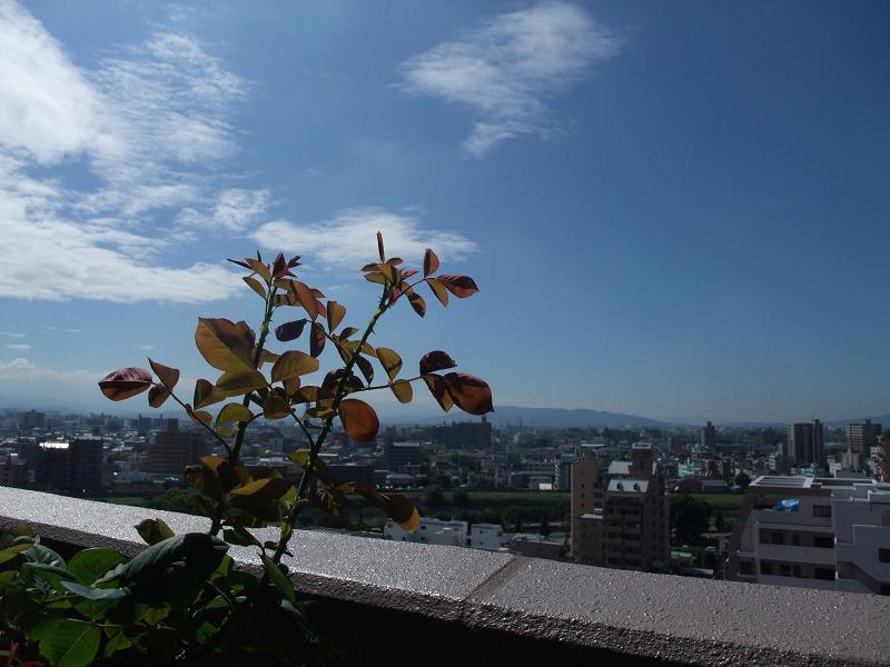 b0071413_10471179.jpg
