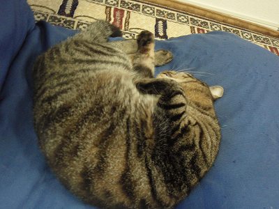 c0145016_20165852.jpg