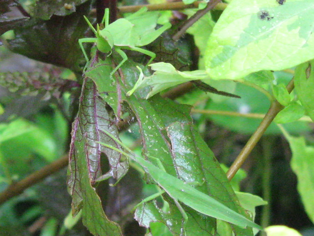f0128316_1043150.jpg