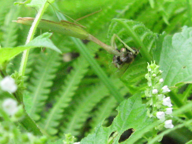 f0128316_104356.jpg