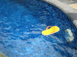 d0038319_11101553.gif