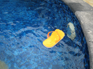 d0038319_1111188.gif