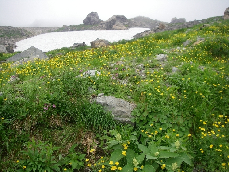 b0062024_7494082.jpg