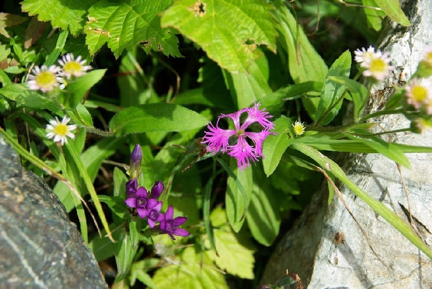 b0062024_803160.jpg
