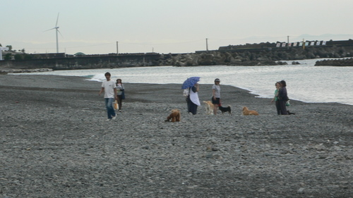 f0060424_944634.jpg