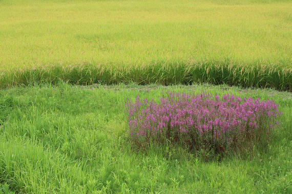 d0148125_21244359.jpg