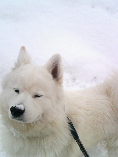 e0024126_1403050.jpg