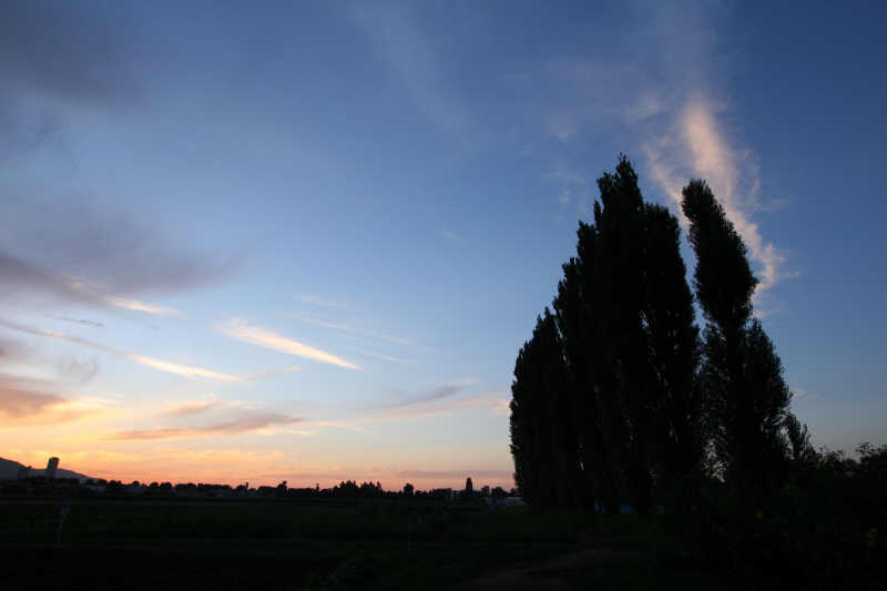 f0017530_22433671.jpg