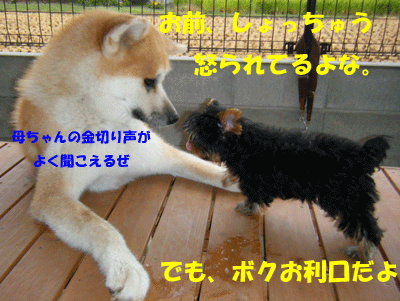 f0008935_15492640.gif
