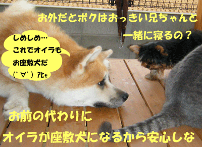 f0008935_15494348.gif
