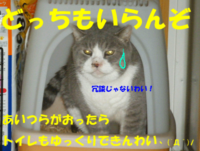 f0008935_15495498.gif