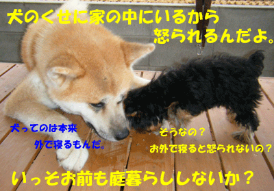 f0008935_1645516.gif