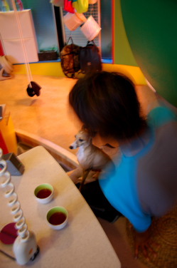 a0082146_2101750.jpg