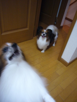 e0100046_2324667.jpg