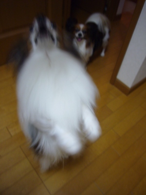 e0100046_2332939.jpg
