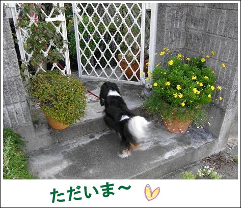 c0145250_11503629.jpg