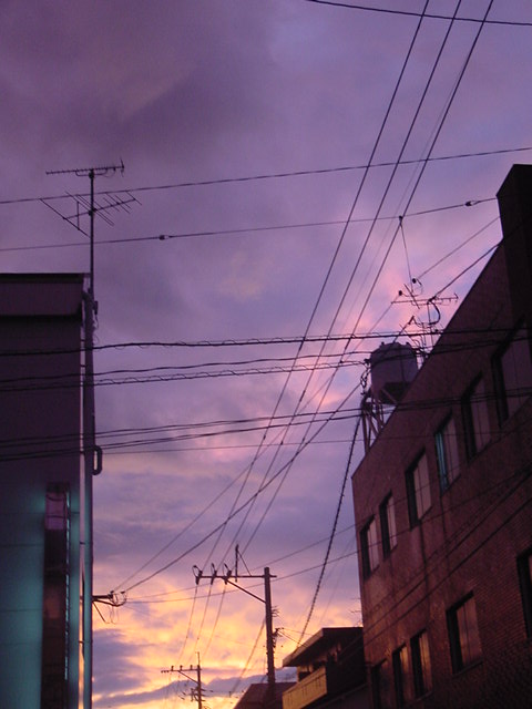 d0150151_9392417.jpg