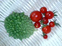 c0155853_18574048.jpg