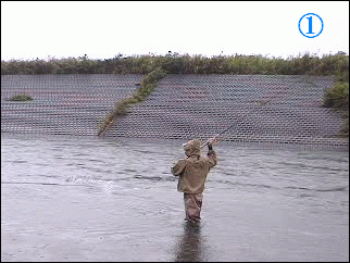 f0084561_17373436.gif