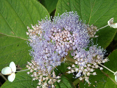 e0097770_20295048.jpg