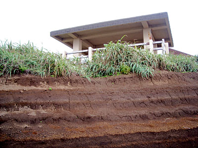 e0097770_20401190.jpg