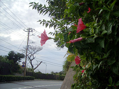 e0097770_20455077.jpg