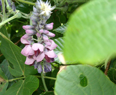 e0097770_20472453.jpg