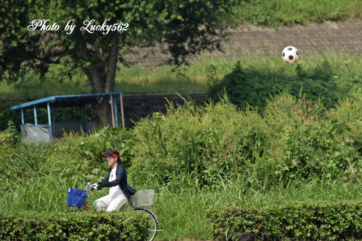 e0002371_9252012.jpg
