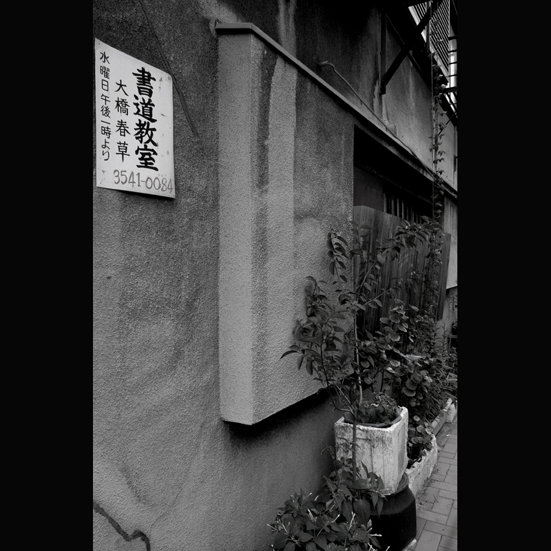 c0118173_2116582.jpg