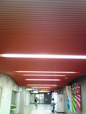 c0102375_3484981.jpg