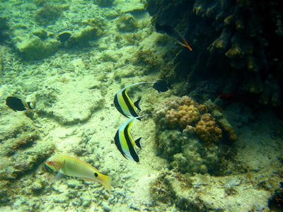 c0151875_17135822.jpg