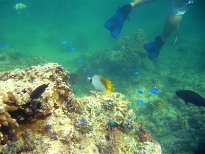 c0151875_21102876.jpg