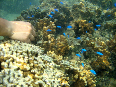 c0151875_2162158.jpg