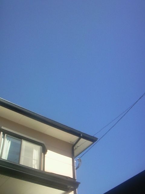 e0077875_108841.jpg