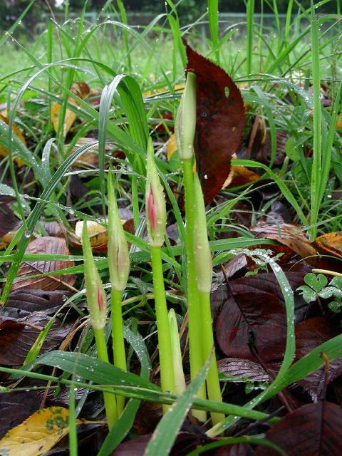 a0044076_2275076.jpg