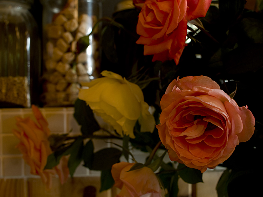 d0152981_2216493.jpg