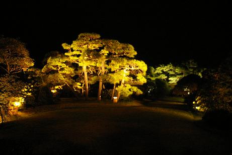 e0002385_17371798.jpg