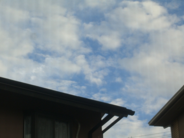 d0092388_18153146.jpg