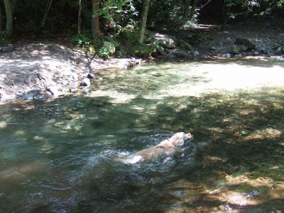 d0118592_10414730.jpg