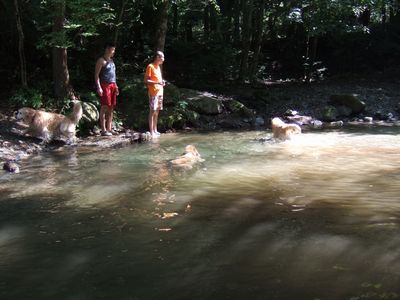 d0118592_10545241.jpg