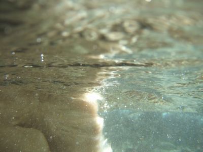 d0118592_10564359.jpg