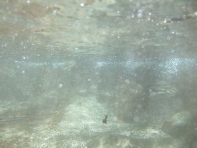 d0118592_10572728.jpg