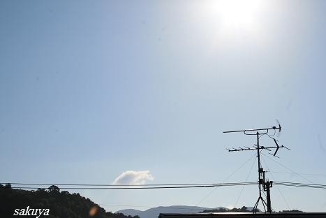 e0122194_1744241.jpg