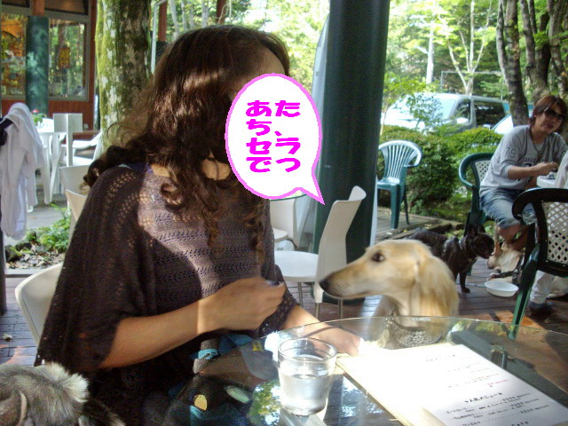 c0138198_21172450.jpg