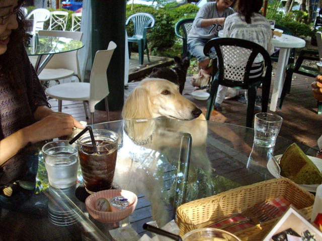 c0138198_2131257.jpg