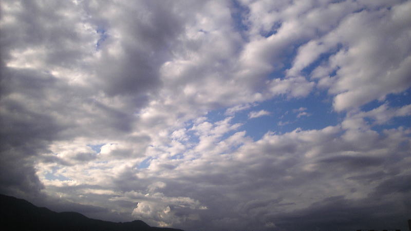 b0055202_23584513.jpg