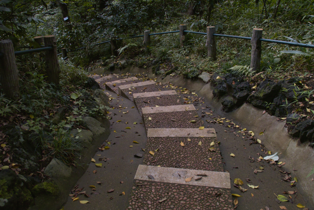 b0137311_21175680.jpg