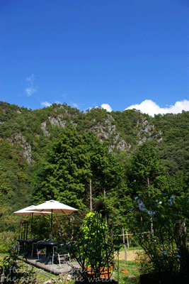 b0075318_2327685.gif